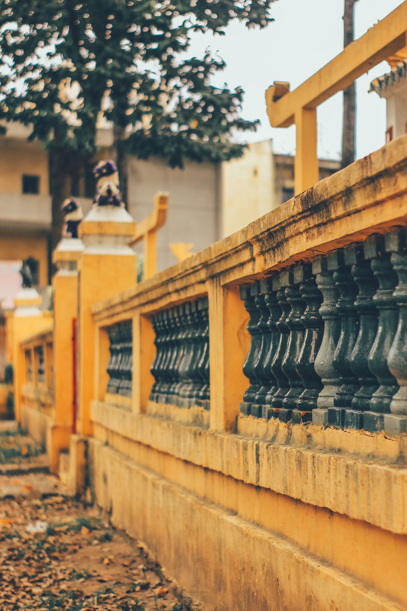 [Photos] A Quiet Saturday at Saigon's Greenest Tomb, Lang Ong Ba Chieu ...