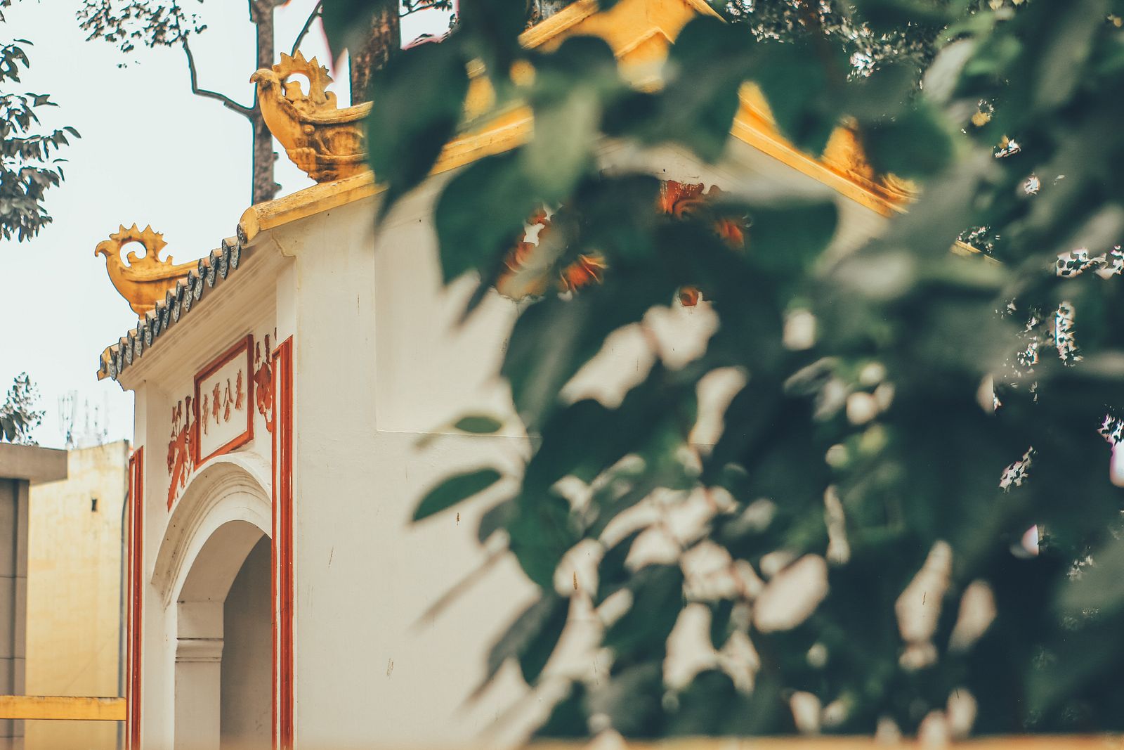 [Photos] A Quiet Saturday at Saigon's Greenest Tomb, Lang Ong Ba Chieu ...