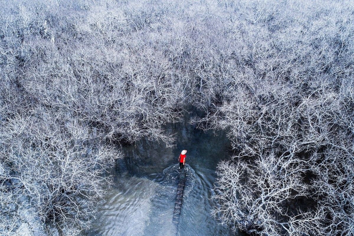 Vietnamese Photographer Nets 2nd Place In Drone Photo Contest Saigoneer