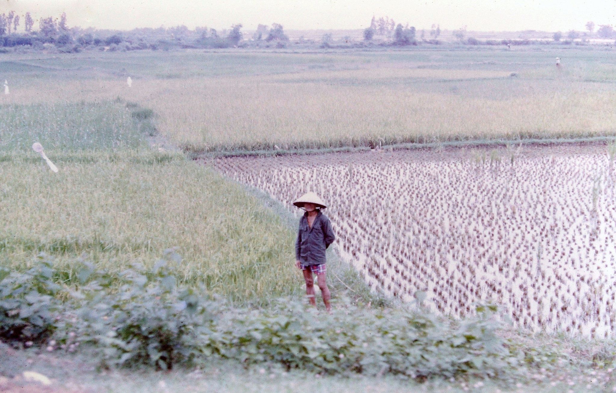 [Photos] A Road Trip Across Vietnam's Barren Landscapes in the 1970s - Saigoneer