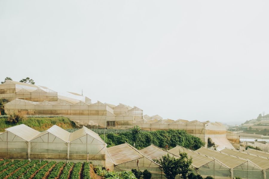 [Photos] Tractors and Cabbages: A Different Da Lat Away From Urban Chaos