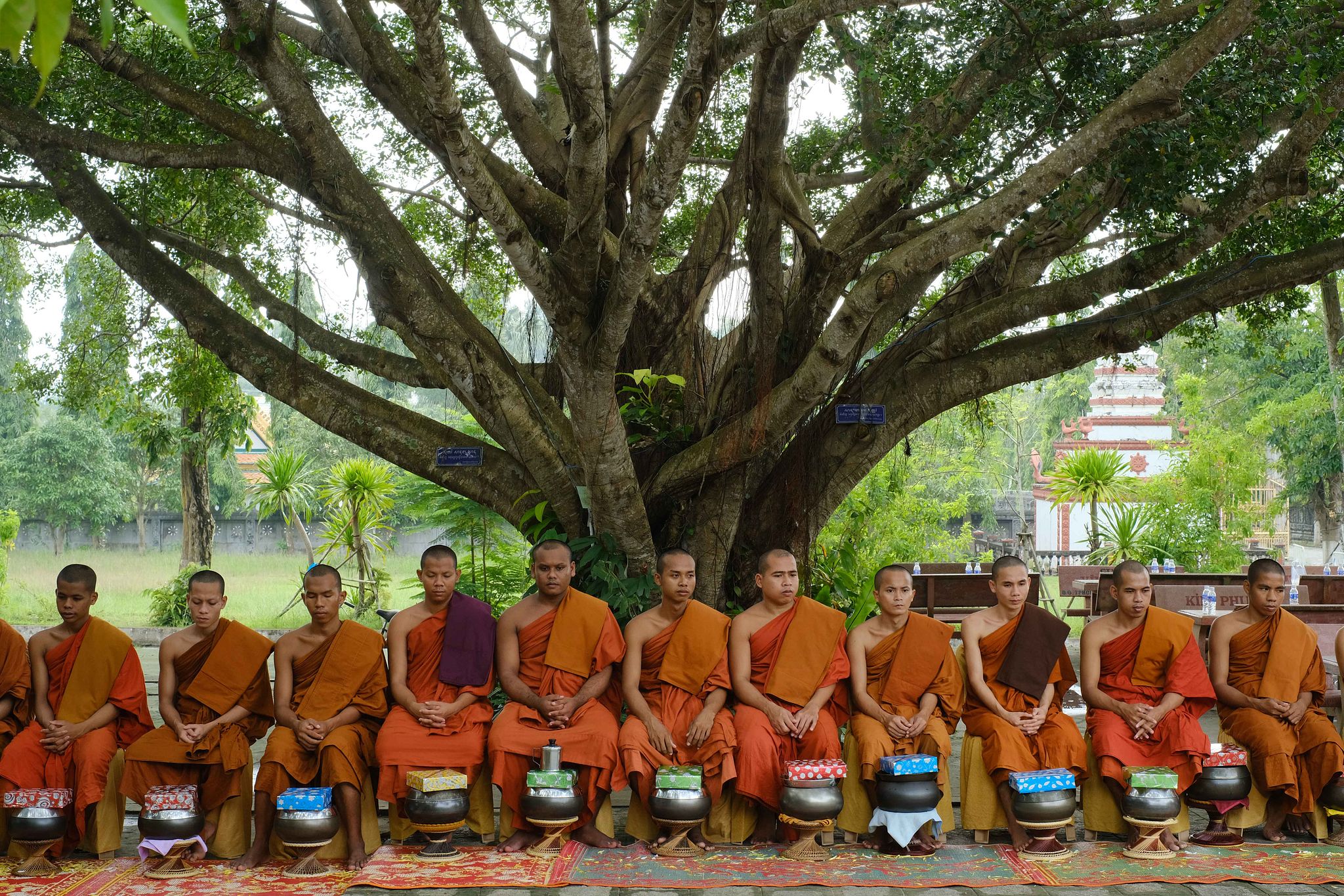 [Photos] In An Giang, Buddhist Devotees Gather to Observe Uposatha Day