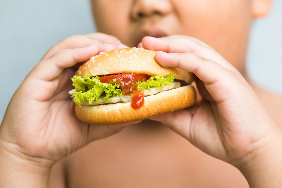 New Study Reveals 29% of Primary School Students in Vietnam Are Overweight