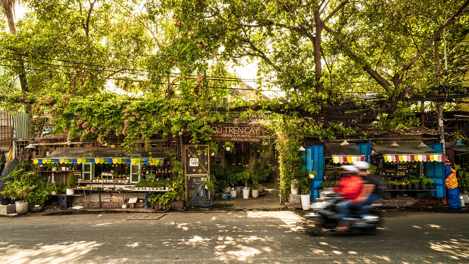 Kết quả hình ảnh cho Hẻm Gems: In Saigon's Greenest Cafe, a Rabbit, Cotton and Succulents Galore