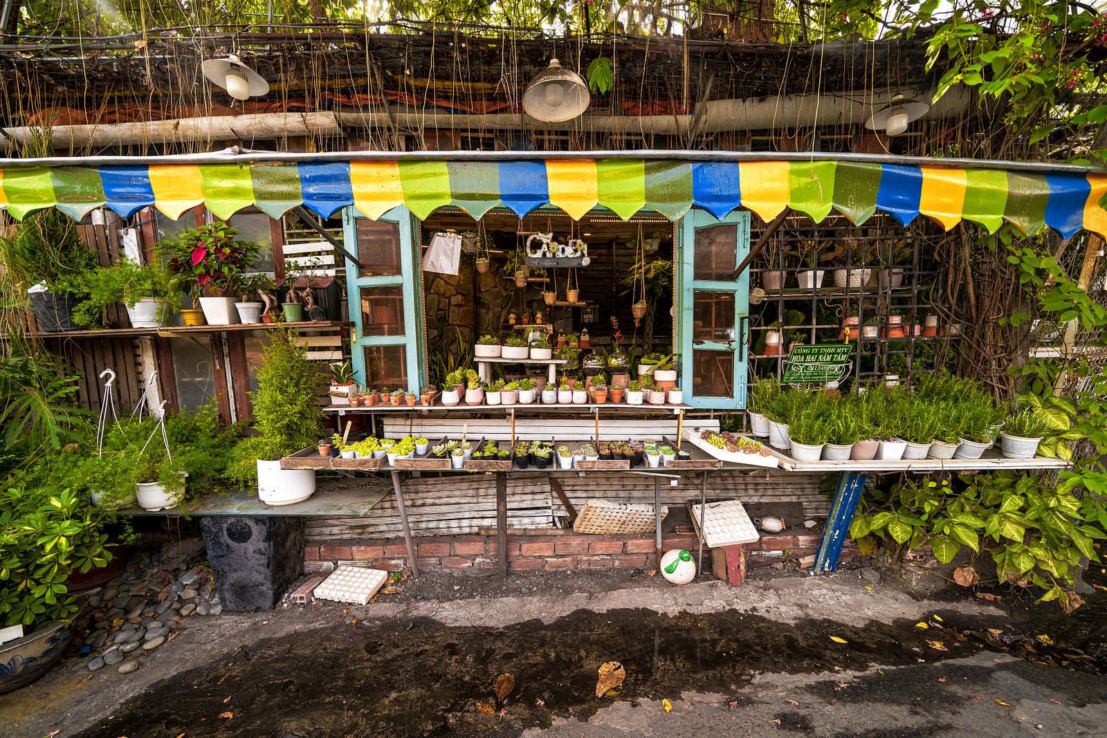 Kết quả hình ảnh cho Hẻm Gems: In Saigon's Greenest Cafe, a Rabbit, Cotton and Succulents Galore