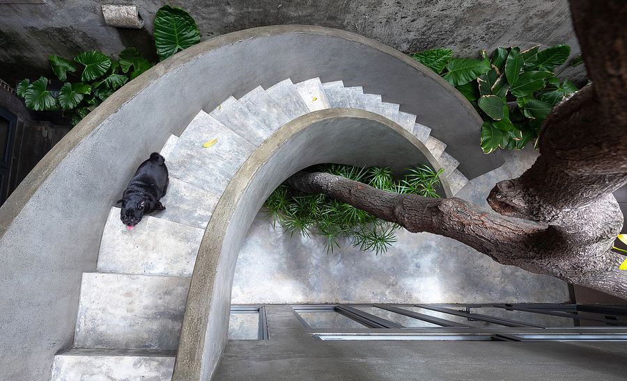[Photos] Vinh House Brings a Slice of the Countryside to Its Urban Neighborhood