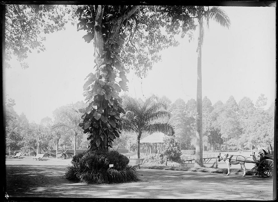 [Photos] Black-and-White Shots Depict Quotidian Details of 19th-Century ...