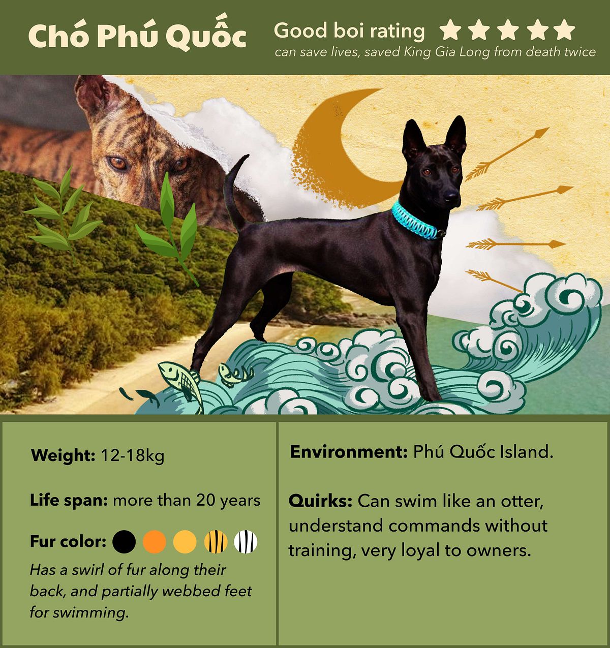 are phu quoc ridgeback aggressive