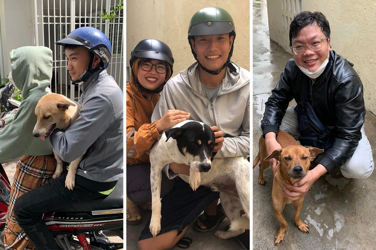 While Seeking Lost Pets, Nha Trang Man Rescues 31 Dogs From Slaughterhouse  - Saigoneer