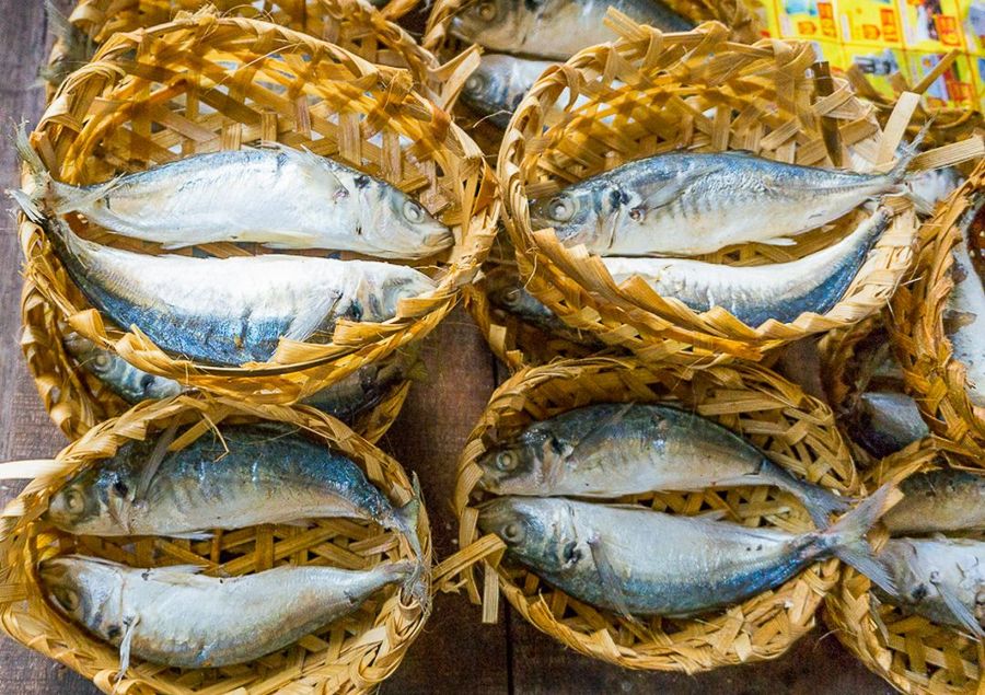 Morning Stories Roundup: Prices of Fish, Chicken Go up in HCMC Due to Fear of Swine Fever
