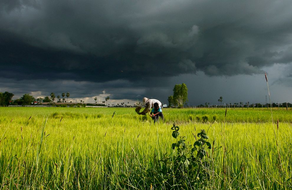 Off-Season Rain Is Disrupting Vietnam's Agriculture - Saigoneer