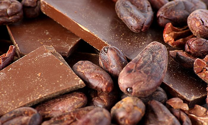 The Only Way to Make Chocolate: With Sustainability and Impact -  Sustainable Vietnam