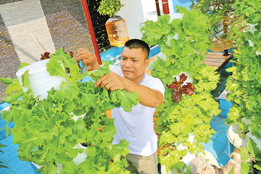 Homegrown Veggies as Tet Gifts Is a Thing in Saigon Thanks to Urban Farmers