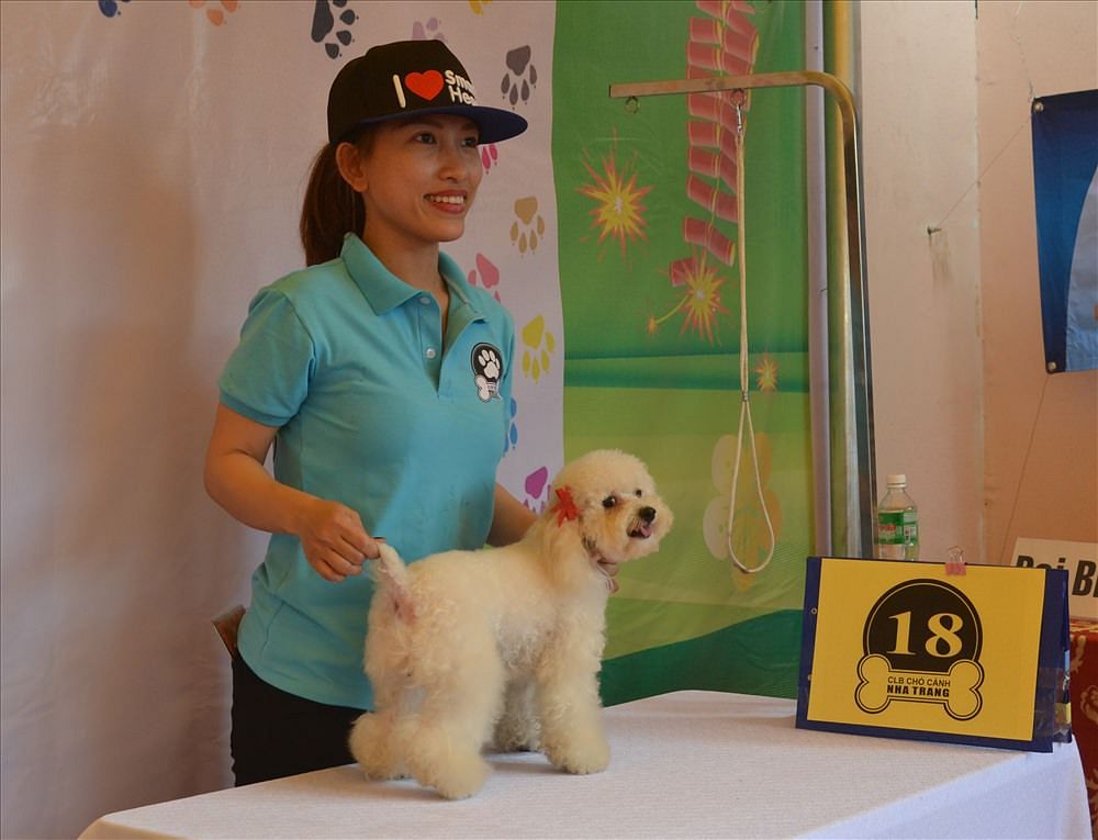 Nha Trang Celebrates Year Of The Dog With Canine Beauty Pageant