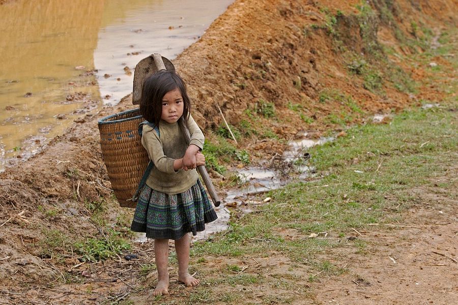 Child Labor to Surge in Vietnam Due to Climate Change: Experts