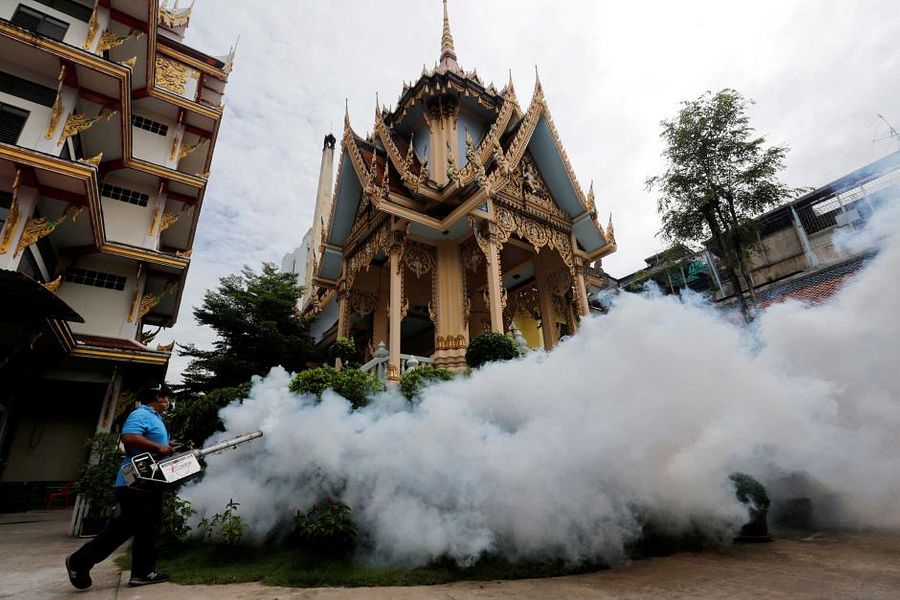 Thailand Reports First Cases of ZikaLinked Microcephaly in Southeast