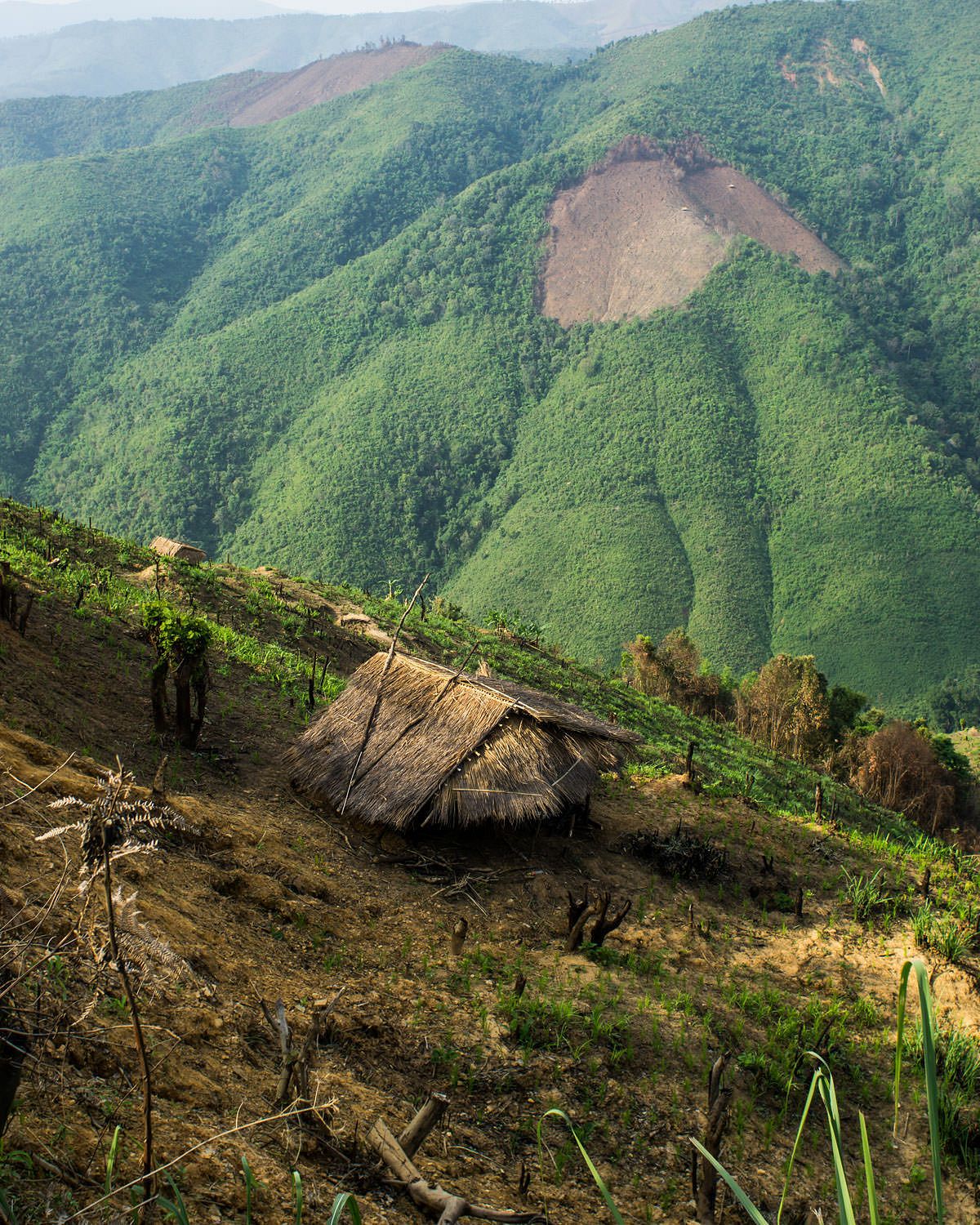 [Photos] Saigoneer Getaways: Laos' 50 Shades of Green - Saigoneer