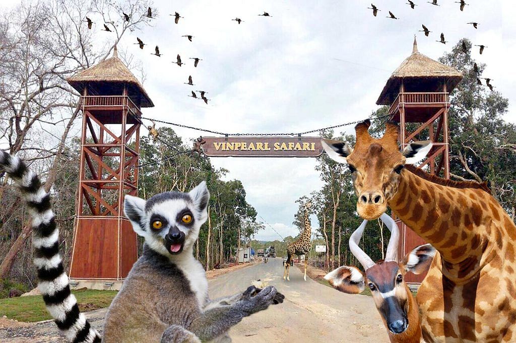 Phu Quoc Is Getting a Safari Just in Time for Christmas - Saigoneer