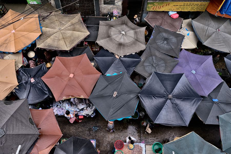 Morning News Roundup: Vietnam Records a Rare Case of Cri-Du-Chat Syndrome