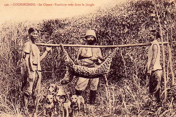 A Brief History of Hunting in Vietnam Since the 19th Century