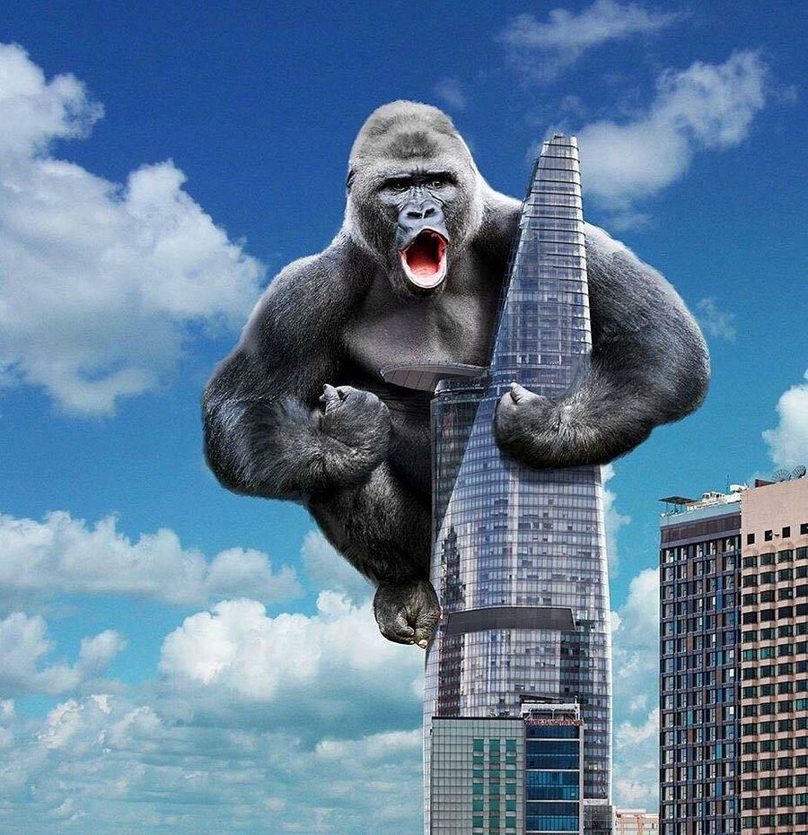 King kong. Кинг Конг. Кинг Конг на башне 2005. Кинг Конг 2005 на небоскребе. Кинг Конг в Нью-Йорке.