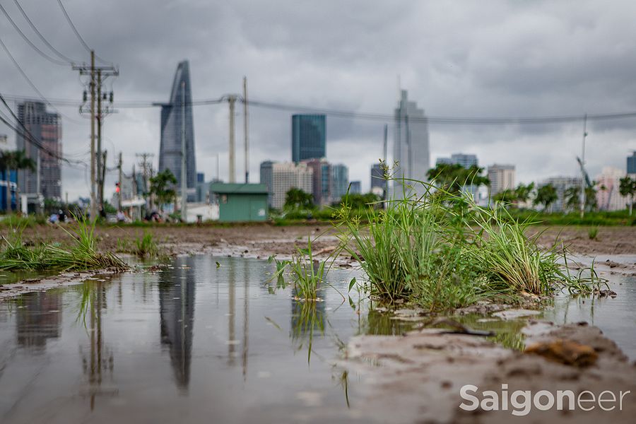 Morning News Roundup: Vietnam Hospital Seeks Volunteers for Head Transplant