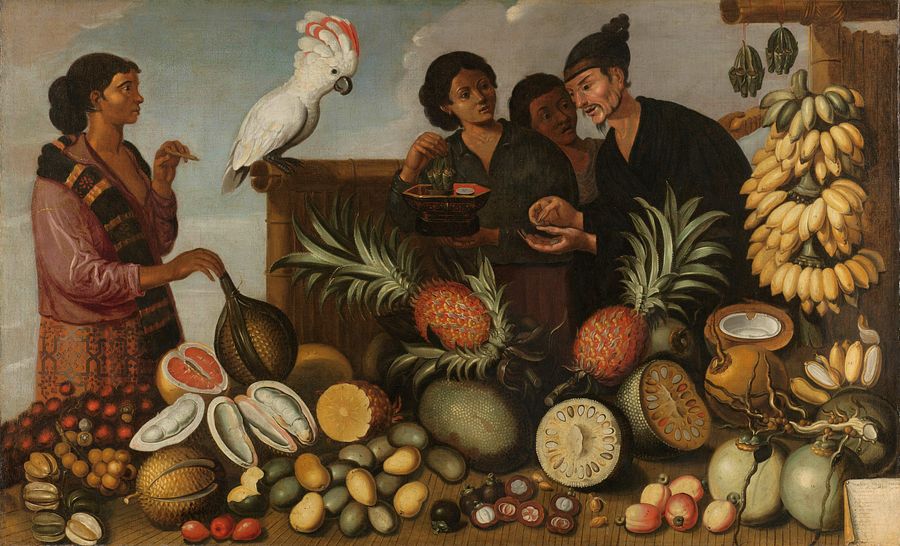 A Tale of Two Fruits The Colonial History of Durian and Mangosteen