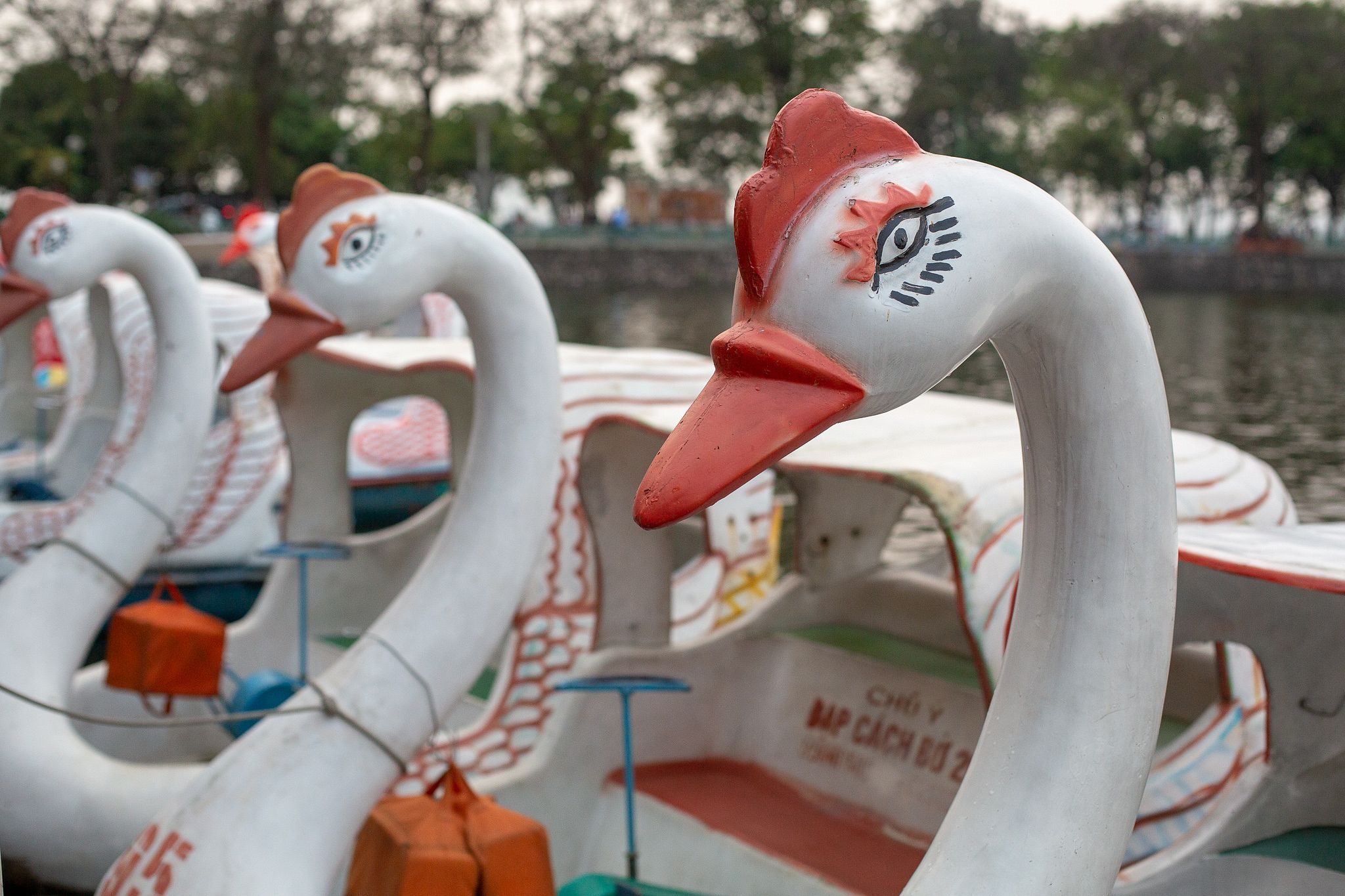 New Swan Boat RideHailing App, SwanGo, to Take Off in Hanoi Next Month
