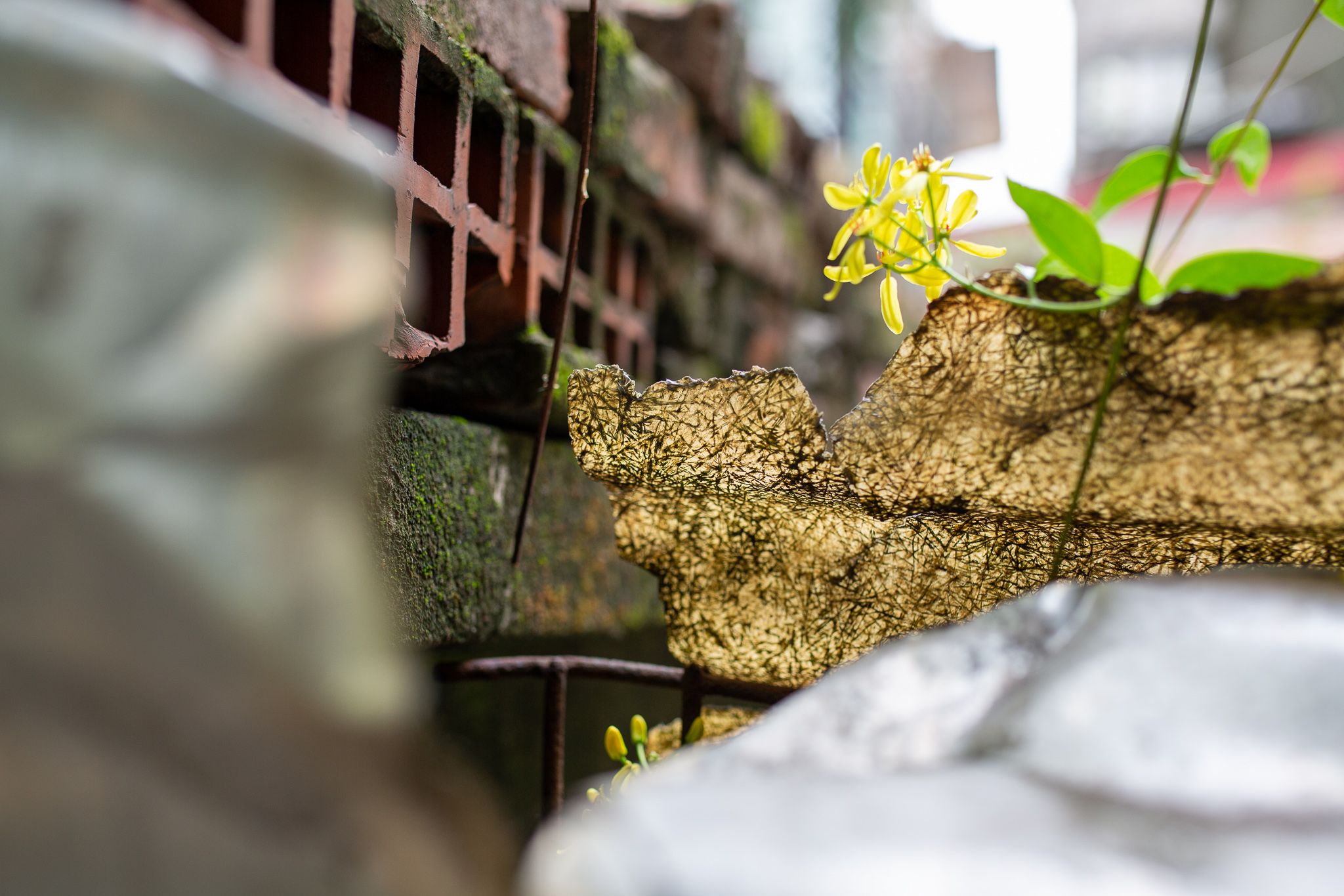 Morning Stories Roundup: National Environment Film Festival Launched