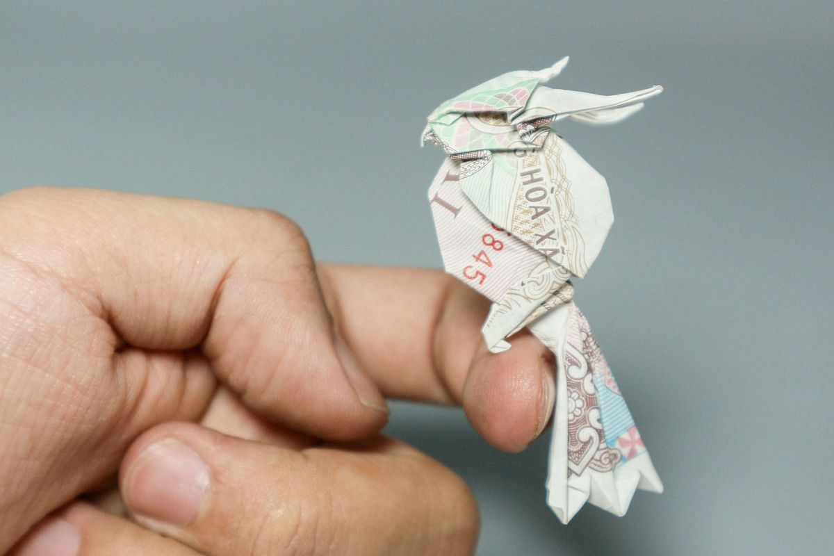 The Zoologist Who Makes Animal Origami out of Vietnam's Banknotes ...