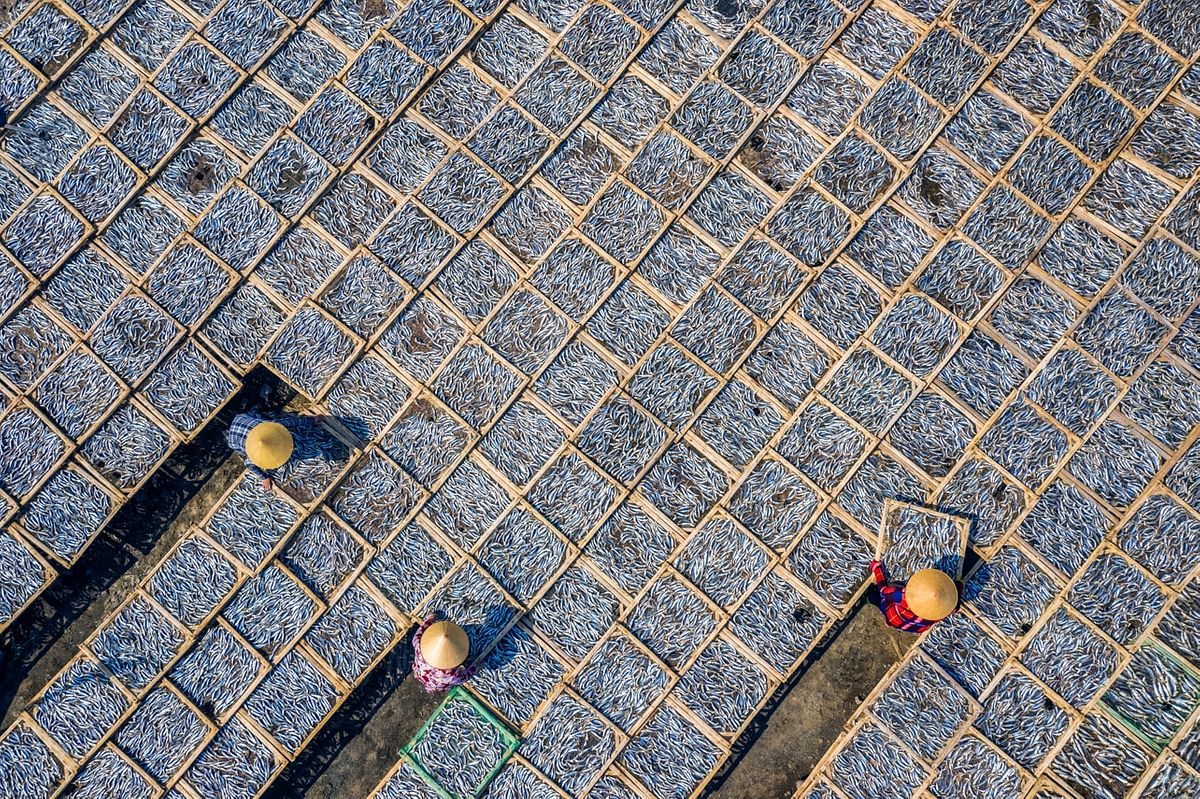 Vietnamese Photographer Wins Top Prize In Drone Photo Awards People